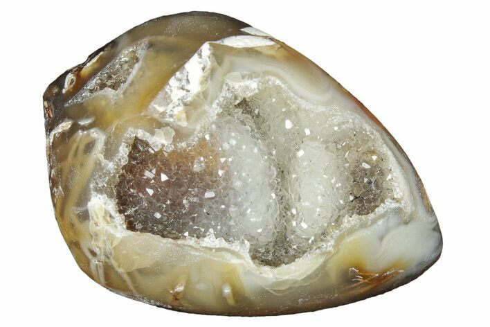 Chalcedony Replaced Gastropod With Sparkly Quartz - India #320829
